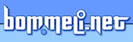 Bommeli.Net, Familienwebsite